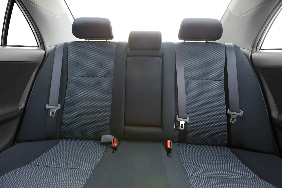 Astuces pour enlever les poils de chien et de chat dans une voiture – nettoyage pro Ambul Wash